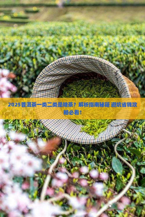 普洱茶一类二类是什么茶