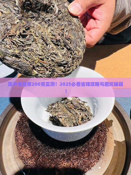 陈升老班章200克