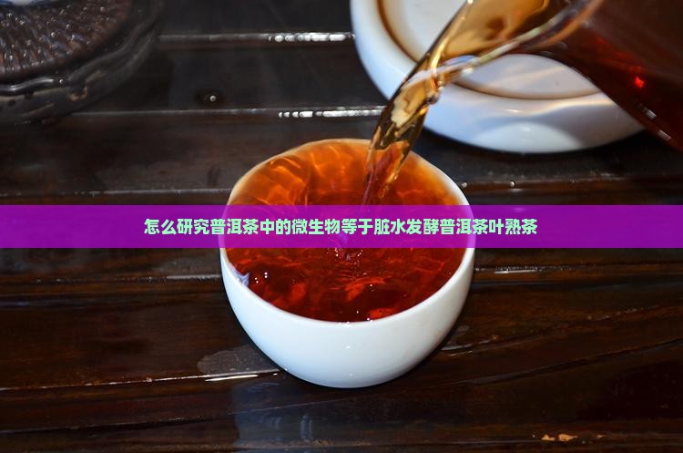 怎么研究普洱茶中的微生物