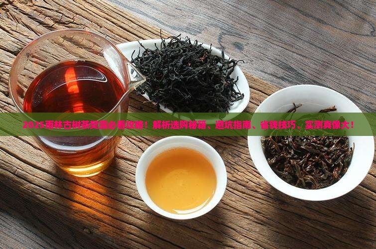 雨林古树茶樊露