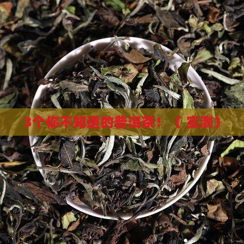 普洱茶有很多细菌么