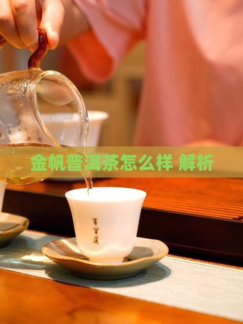 金帆普洱茶怎么样