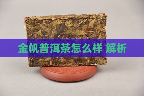 金帆普洱茶怎么样