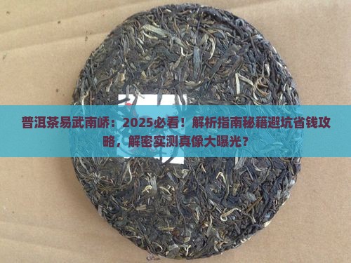 普洱茶易武南峤