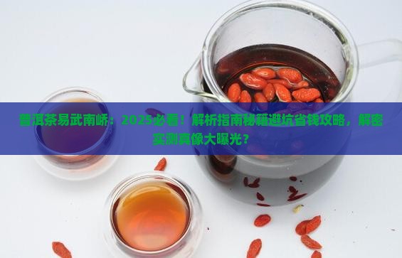 普洱茶易武南峤