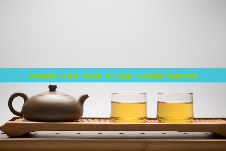 普洱茶饼泡什么茶