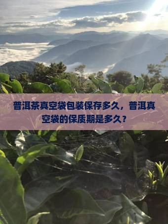 普洱茶散茶包真空袋保存多久