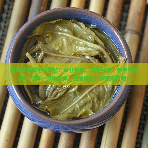 普洱茶去哪里买好些