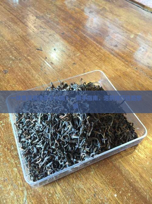 一块普洱茶泡多少水喝