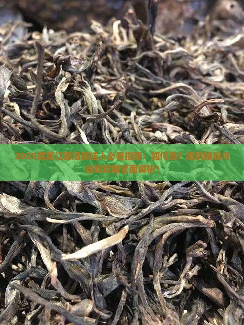 黑龙江普洱茶送人好吗