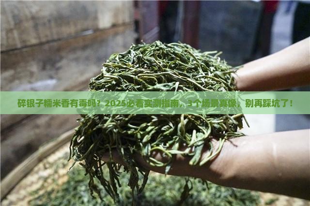 碎银子糯米香有毒吗