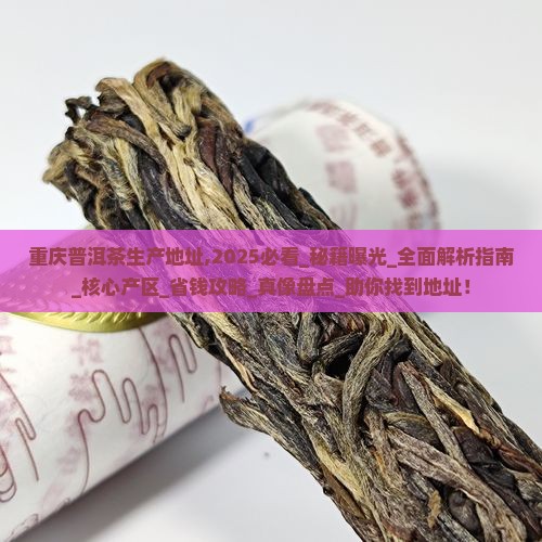 重庆普洱茶生产地址