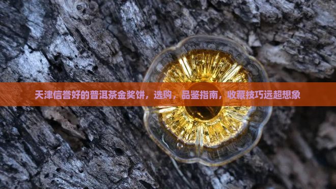 天津信誉好的普洱茶金奖饼