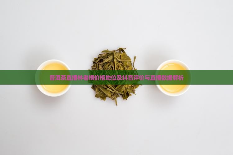 普洱茶直播林老根