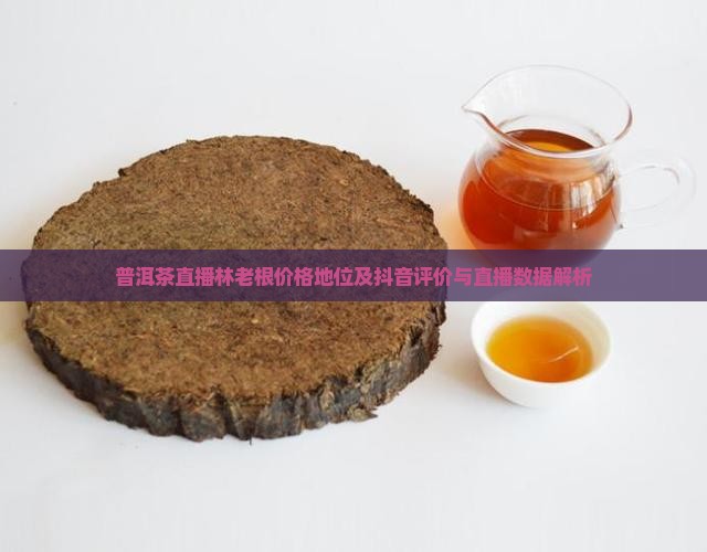 普洱茶直播林老根