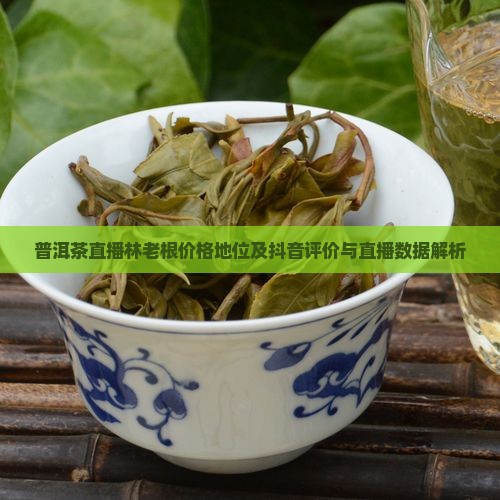 普洱茶直播林老根