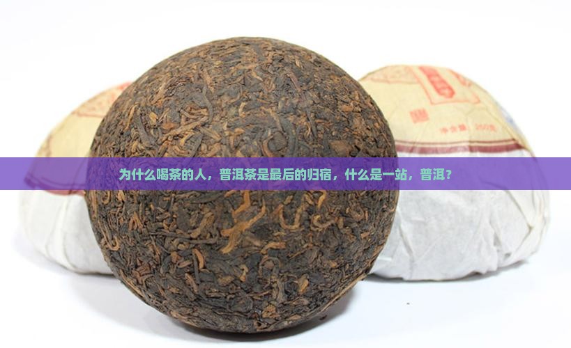 普洱茶是喝茶人的最终归宿