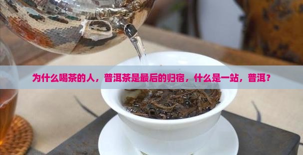 普洱茶是喝茶人的最终归宿