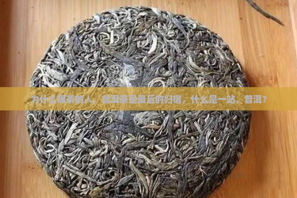 普洱茶是喝茶人的最终归宿