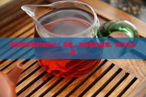 普洱茶发酵时加什么