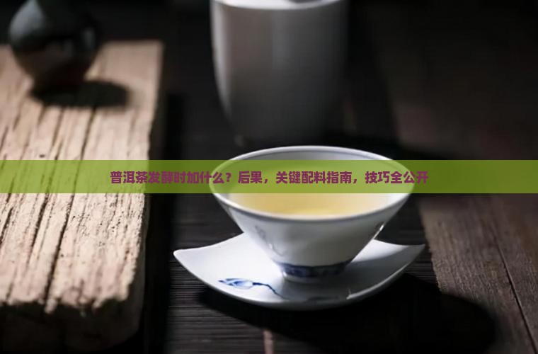 普洱茶发酵时加什么