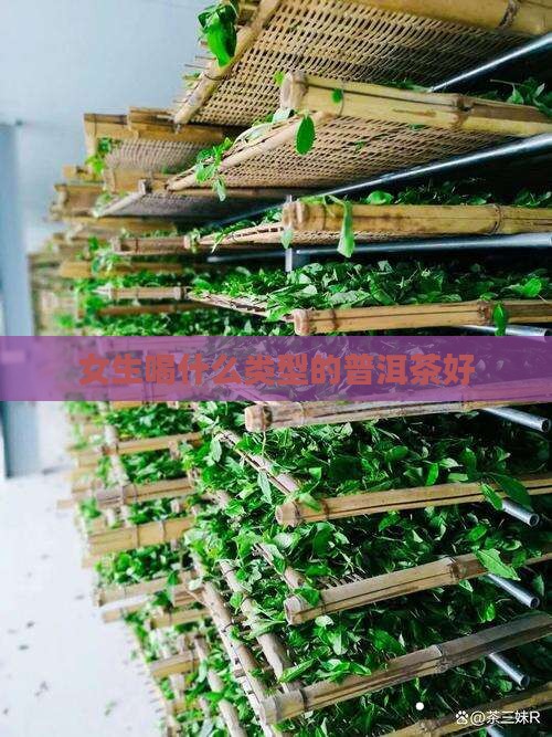 女生喝什么类型的普洱茶好