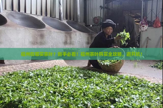 福州在哪买茶叶