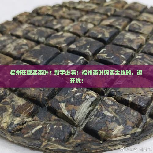 福州在哪买茶叶