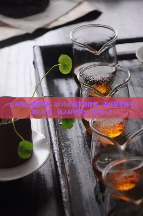 山东深山里普洱茶