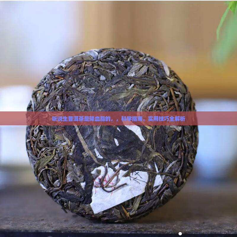 听说生普洱茶是降血脂的