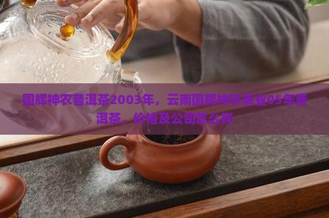 国辉神农普洱茶2003年
