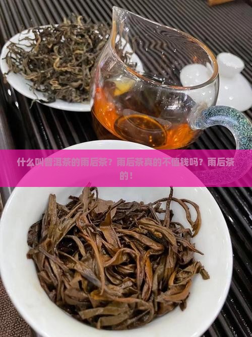 什么叫普洱茶的雨后茶