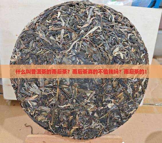 什么叫普洱茶的雨后茶