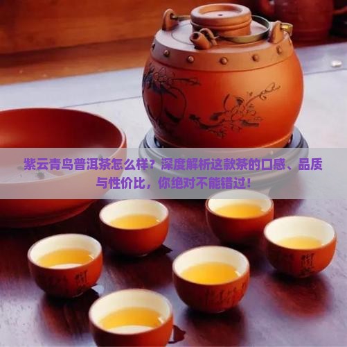 紫云青鸟普洱茶怎么样