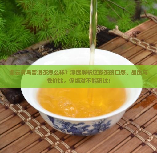 紫云青鸟普洱茶怎么样
