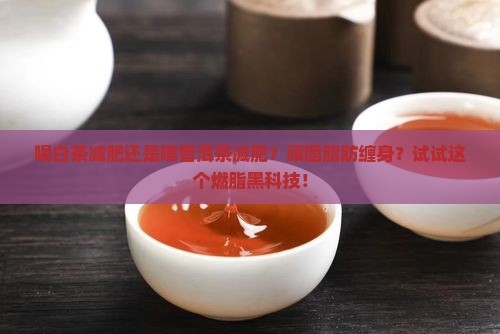 喝白茶减肥还是喝普洱茶减肥