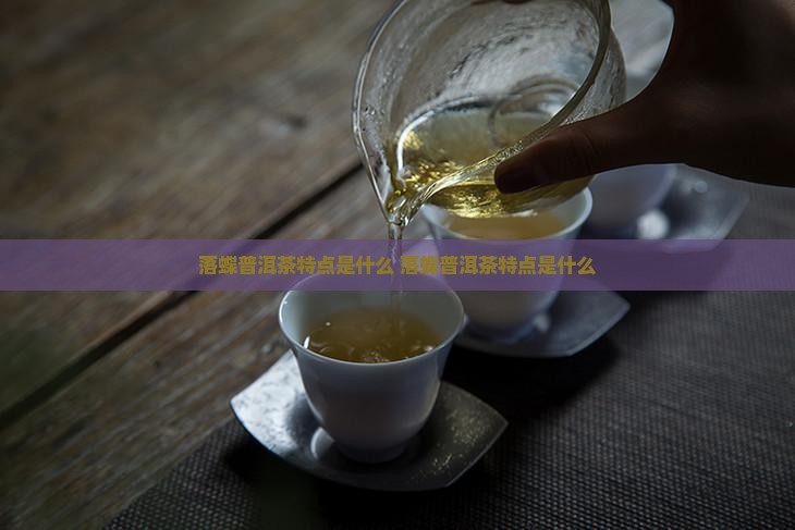 落蝶普洱茶特点