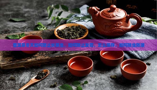 普洱茶冬天如何防止长茶虫