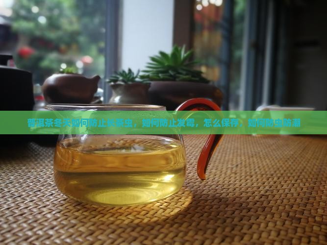 普洱茶冬天如何防止长茶虫