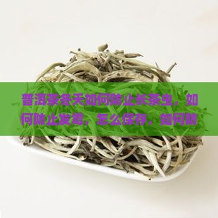 普洱茶冬天如何防止长茶虫