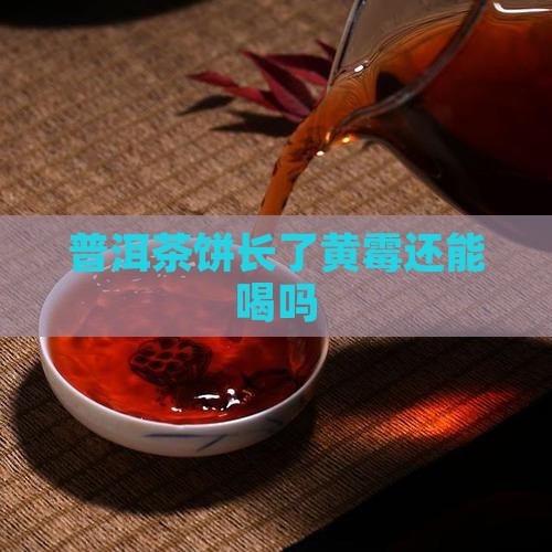 普洱茶饼长了黄霉能喝吗
