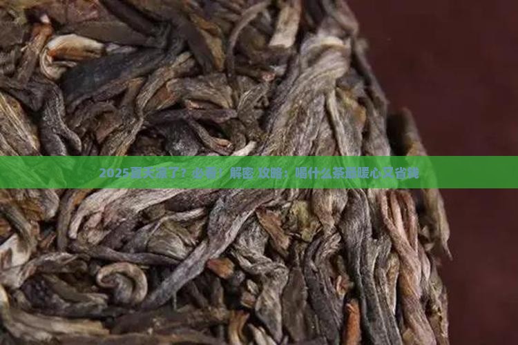 夏天天凉喝什么茶