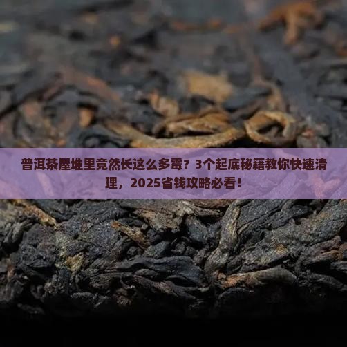 普洱茶屋堆产生霉菌