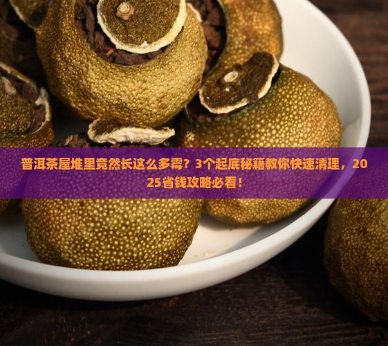 普洱茶屋堆产生霉菌