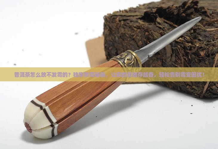 普洱茶怎么放不发霉的