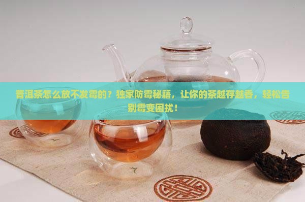 普洱茶怎么放不发霉的