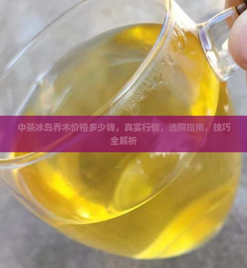 中茶冰岛乔木价格多少钱
