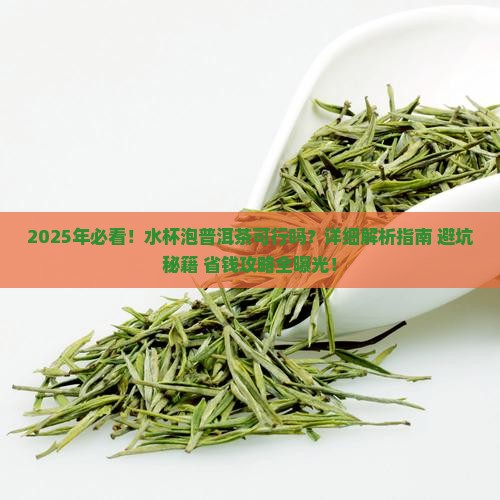 水杯泡茶可以泡普洱茶吗