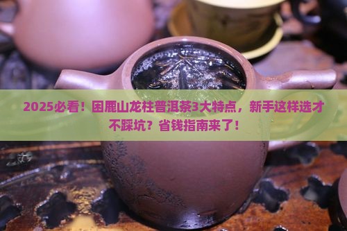 困鹿山龙柱普洱茶特点