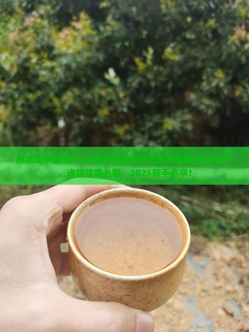 用冰岛茶做茶叶